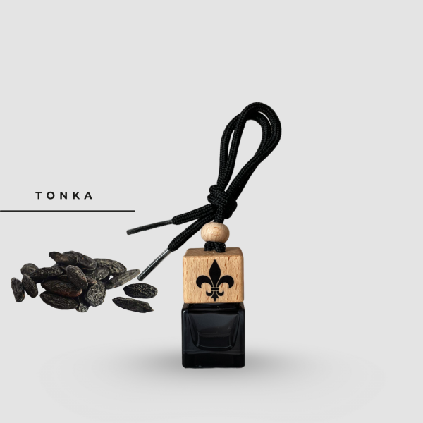 diffuseur de parfum voiture Tonka