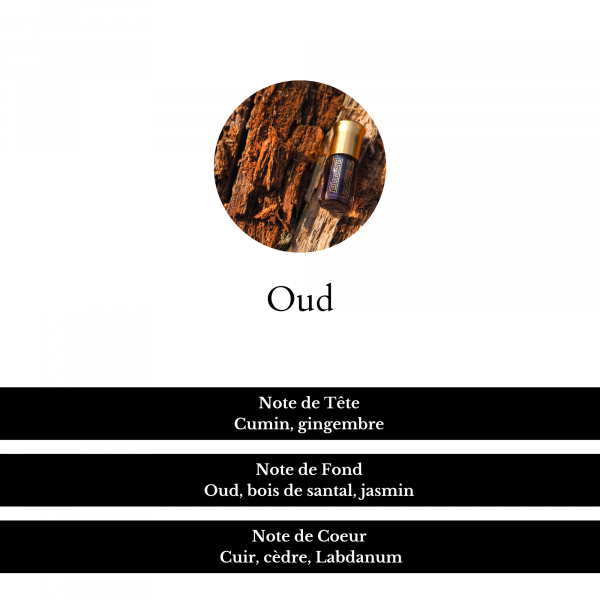 composition parfum oud